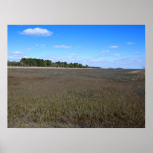 Burton Island Naturschutzgebiet-Pfad Poster