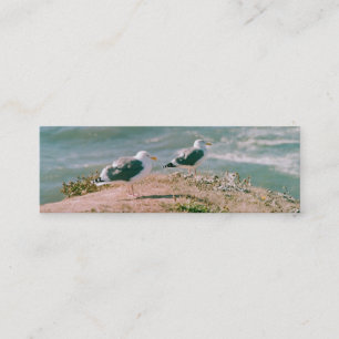 Bus. Karte - Möwen auf der Klippe