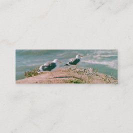 Bus. Karte - Möwen auf Klippe
