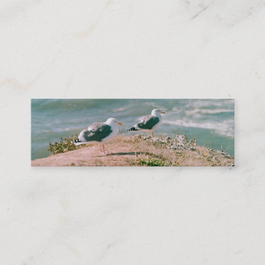Bus. Karte - Möwen auf Klippe (Vorderseite)
