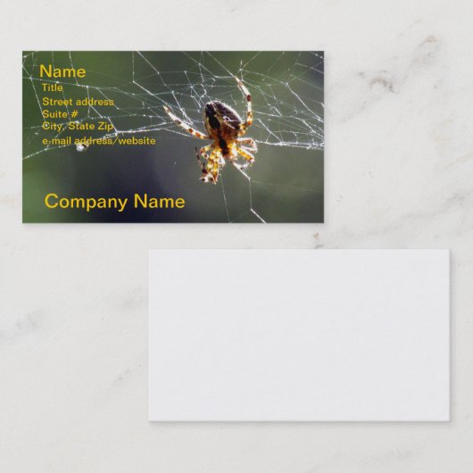 Bus. Karte - Spinne auf Netz (Vorne/Hinten)