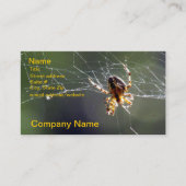 Bus. Karte - Spinne auf Netz (Vorderseite)