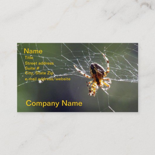 Bus. Karte - Spinne auf Netz (Vorderseite)