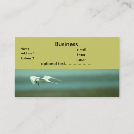 Bus. Karte - Tern (Vorderseite)