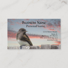 Bus. Karte - Vögel auf Zaun bei Sonnenuntergang