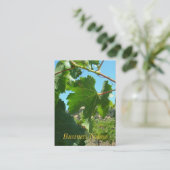 Bus. Karte - Weintrauben (Stehend Vorderseite)