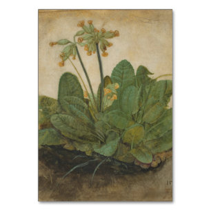 Büschel von Cowslips durch Albrecht Durer Tischnummer