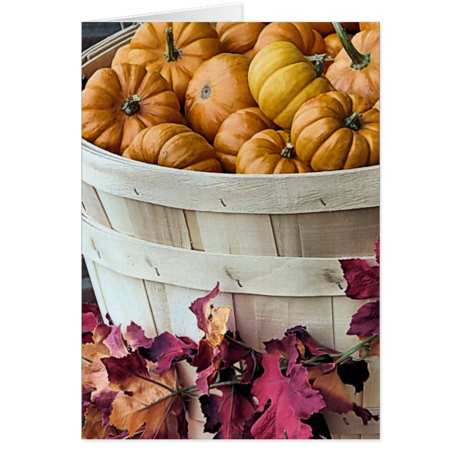 Buschel von Gourds (Vorne)