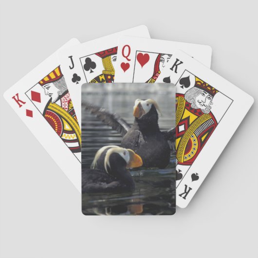 Büschelige Papageientaucher Alaskas Spielkarten (Rückseite)