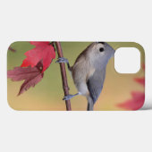 Büschelige Titmice Case-Mate iPhone Hülle (Rückseite (Horizontal))