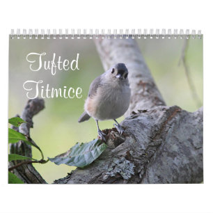 Büschelige Titmice Kalender