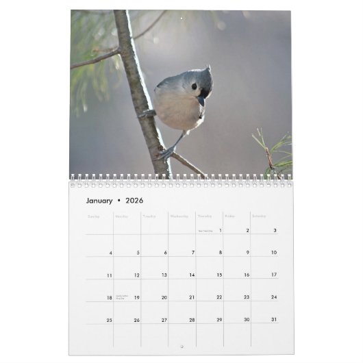 Büschelige Titmice Kalender (Jan 2026)
