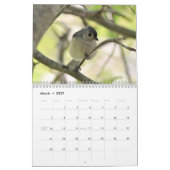 Büschelige Titmice Kalender (Mär 2027)