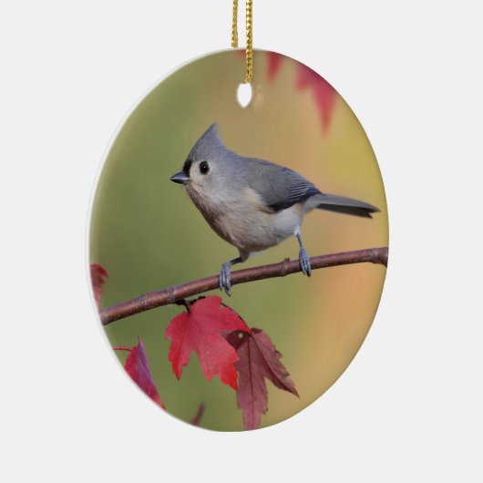 Büschelige Titmice Keramikornament (Rechts)
