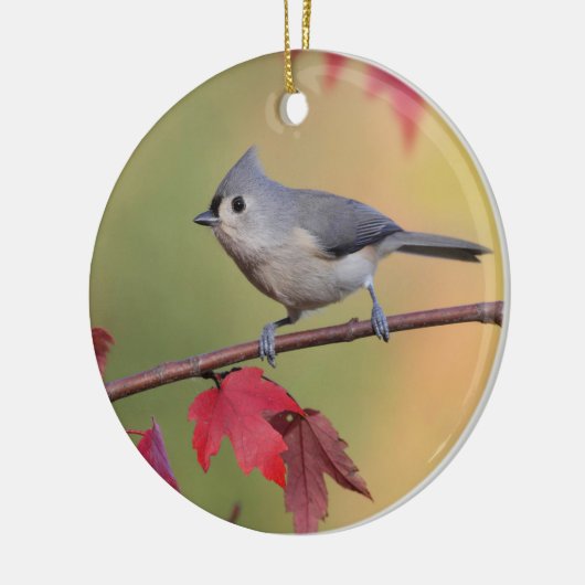 Büschelige Titmice Keramikornament (Links)