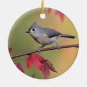 Büschelige Titmice Keramikornament (Hinten)