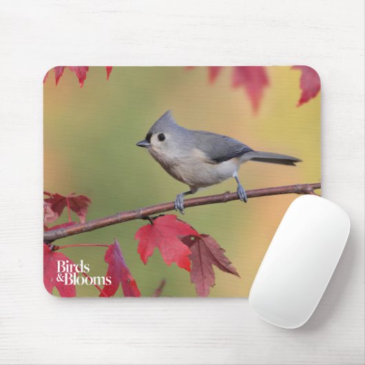 Büschelige Titmice Mousepad (Mit Mouse)