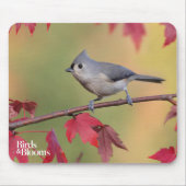 Büschelige Titmice Mousepad (Vorne)