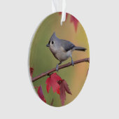 Büschelige Titmice Ornament (Vorderseite)
