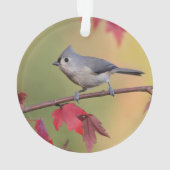 Büschelige Titmice Ornament (Rückseite)