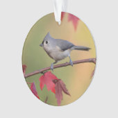Büschelige Titmice Ornament (Vorderseite)