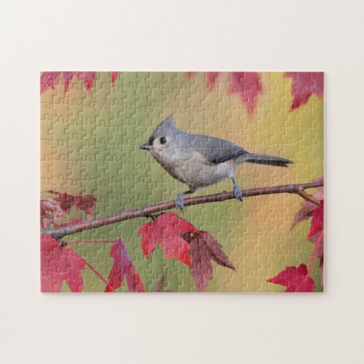 Büschelige Titmice Puzzle (Horizontal)