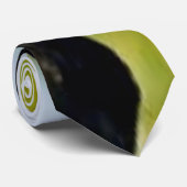 Büscheliger Papageientaucher in der Hand Krawatte (Gerollt)