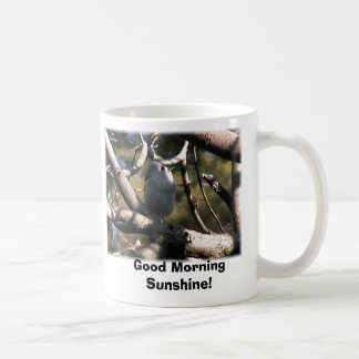 büscheliger Titmouse, guter Morgen-Sonnenschein! Kaffeetasse