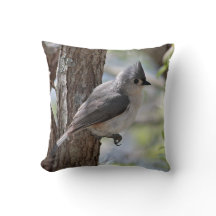 Büscheliger Titmouse im Frühjahr