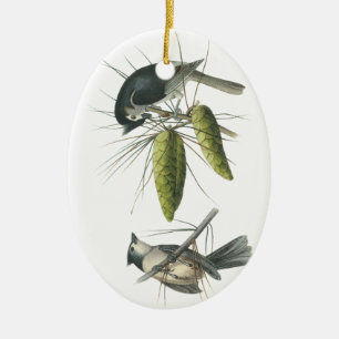 Büscheliger Titmouse, John Audubon Keramikornament