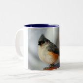 Büscheliger Titmouse-Kaffee-Tasse Zweifarbige Tasse (Vorderseite Links)