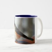 Büscheliger Titmouse-Kaffee-Tasse Zweifarbige Tasse (VorderseiteRechts)