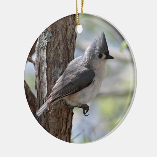 Büscheliger Titmouse Keramik Ornament (Links)