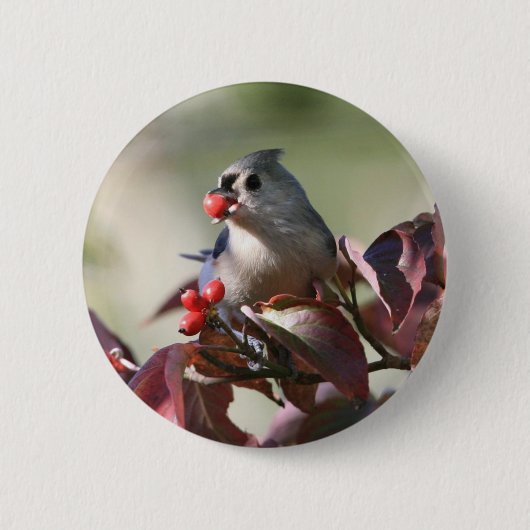 büscheliger Titmouse mit Beere Button (Vorderseite)
