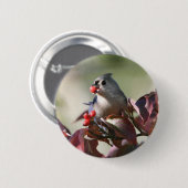büscheliger Titmouse mit Beere Button (Vorne & Hinten)