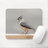 Büscheliger Titmouse Mousepad (Mit Mouse)