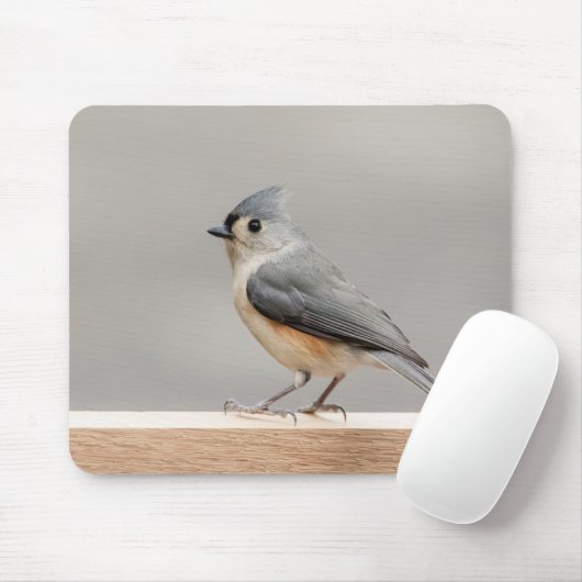 Büscheliger Titmouse Mousepad (Mit Mouse)