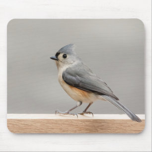 Büscheliger Titmouse Mousepad