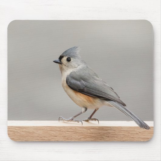 Büscheliger Titmouse Mousepad (Vorne)