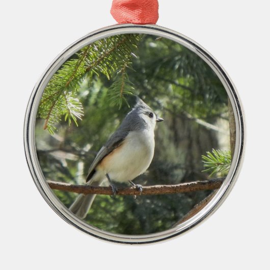 Büscheliger Titmouse Ornament Aus Metall (Vorne)