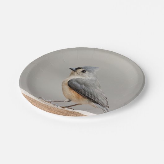 Büscheliger Titmouse Pappteller (Schrägansicht)