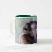 Büscheliges Capuchin-Affe-Foto Zweifarbige Tasse (Vorderseite Links)