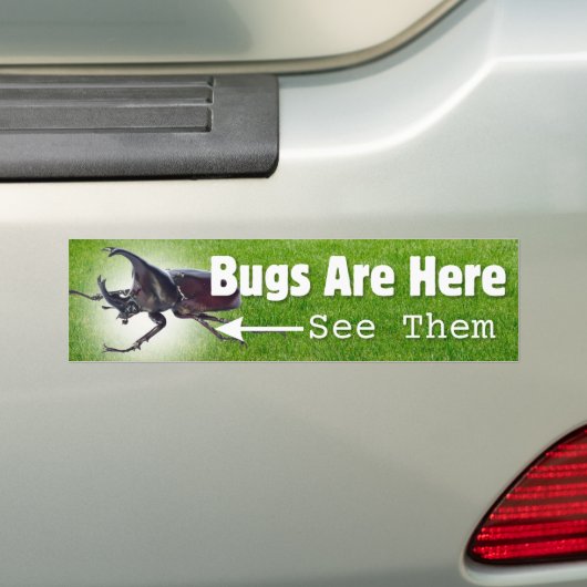 Buschen sind hier... Rhino Käfer Autoaufkleber (Auf Auto)