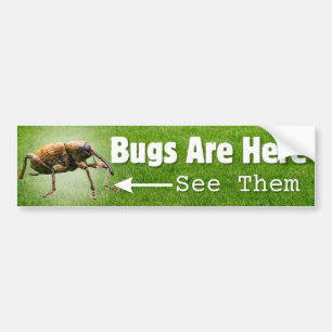 Buschen sind hier... Weevil Edition Autoaufkleber