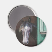 Buschfohlen aus Stallhaltung Magnet (Vorderseite/Rückseite)