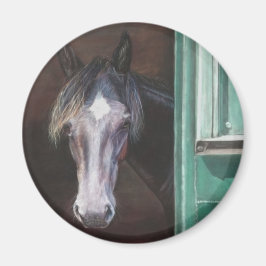 Buschfohlen aus Stallhaltung Magnet