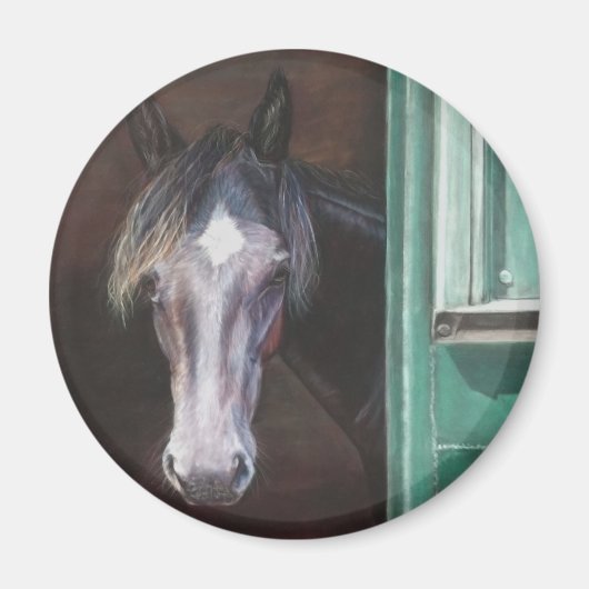 Buschfohlen aus Stallhaltung Magnet (Vorne)