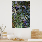 Buschfrucht Poster (Küche)