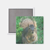 Buschmagnet Magnet (Vorderseite/Rückseite)