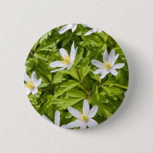 Buschwindröschen Button